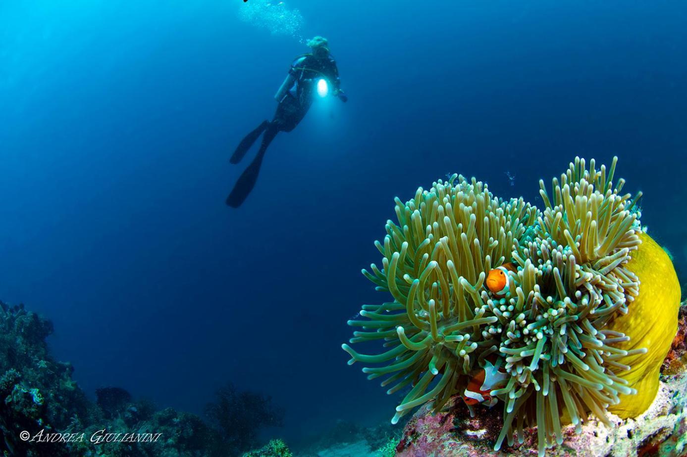 Sunset Cove Beach & Dive Resort Romblon Esterno foto